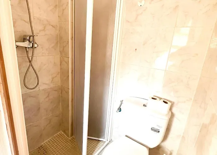 Latic Pensión Alicante