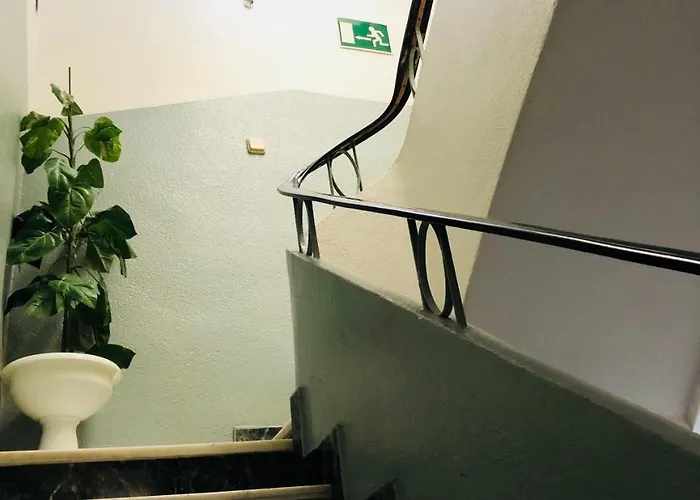 Latic Pensión Alicante